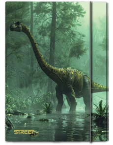 Папка с ластик Street Dino A4, 1 cm