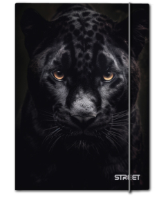 Папка с ластик Street Africa A4, 1 cm